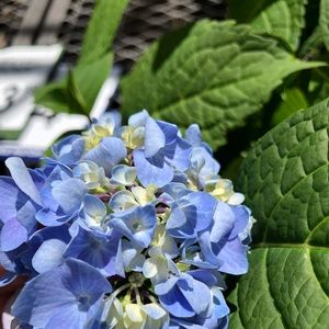 Meet your Posher, Andy